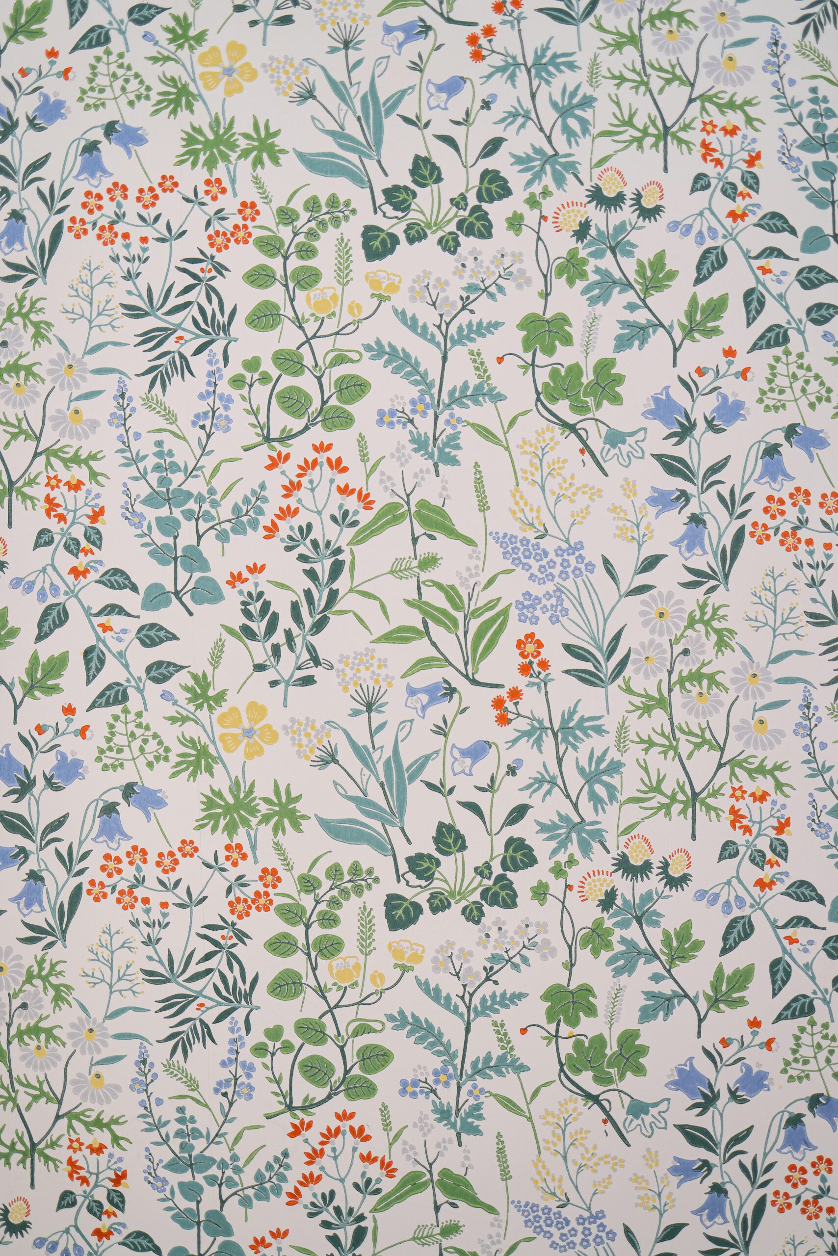 Botanical Bliss