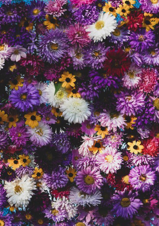 Dreamy Floral