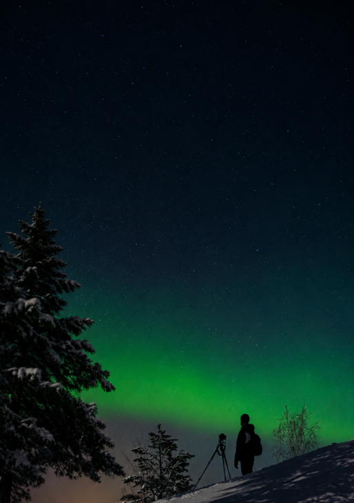 Frozen Lights