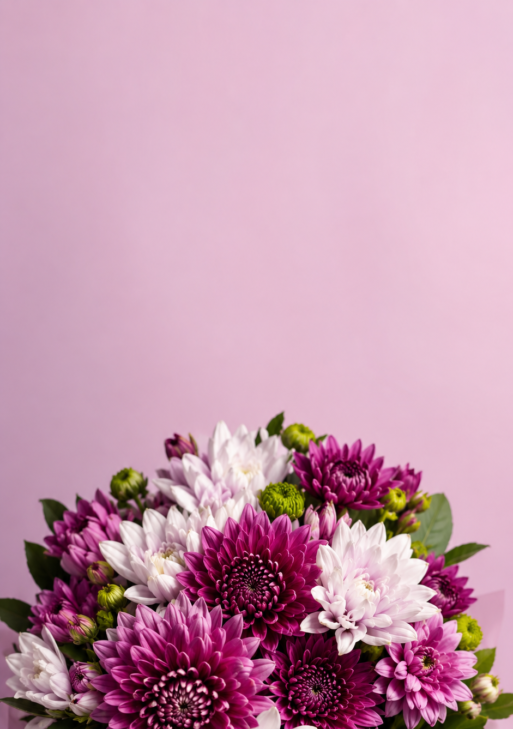 Moonlight Dahlia