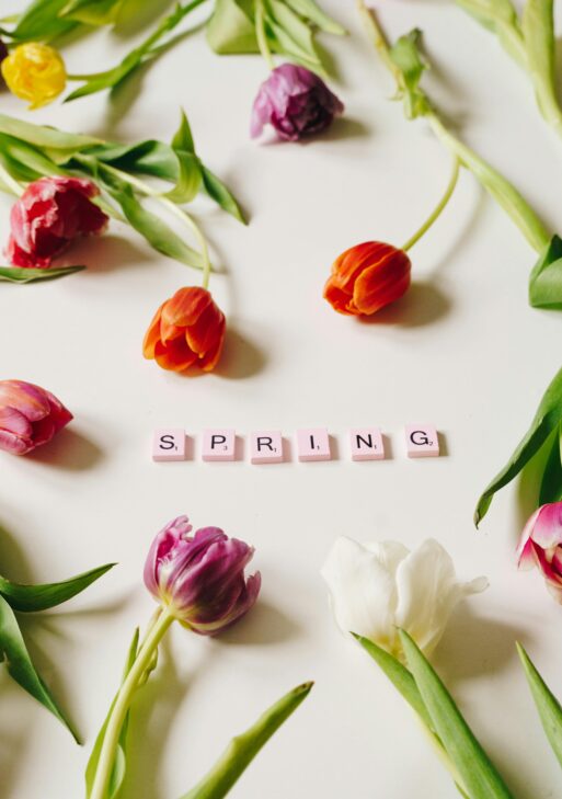 Spring Petals